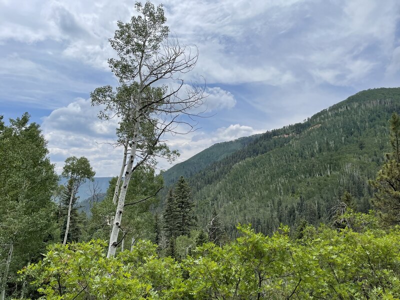 Looking back at our accomplishment, Priest Gulch Trail.