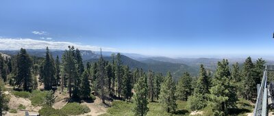 View from Park Ridge Lookout Tower