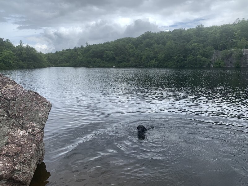 Terrace Pond is absolutely beautiful. There are park rangers out there to ensure no swimming. For people at least.