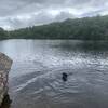 Terrace Pond is absolutely beautiful. There are park rangers out there to ensure no swimming. For people at least.