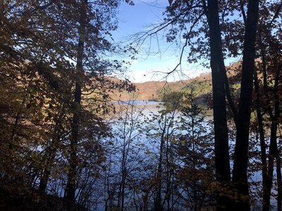 View of Dewey Lake through the trees.
