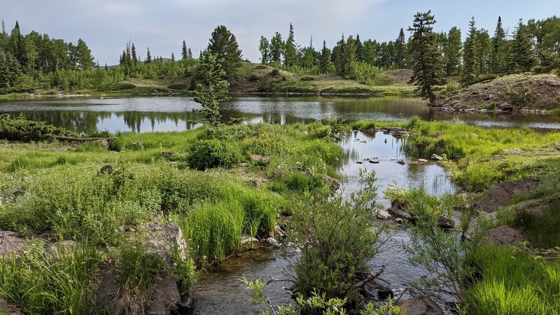 Water flowing into small lake from Duck lake.