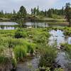 Water flowing into small lake from Duck lake.