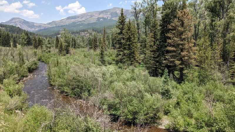 Rio Chama is just a creek up here.