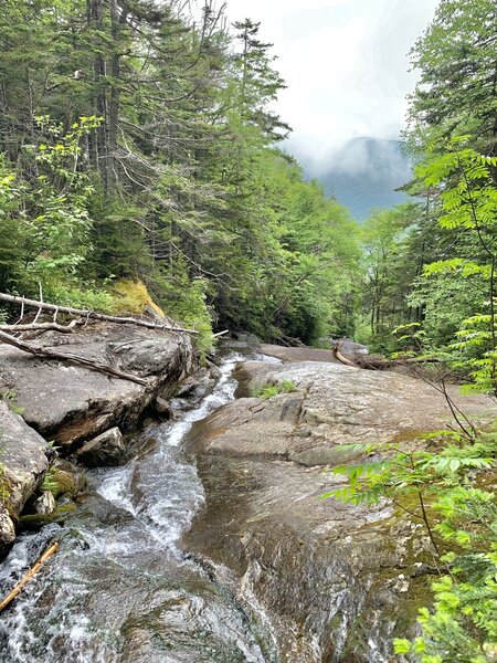 Right near the shelter/porter potty on the Beaver Brook Trail up Mt Moosilauke.