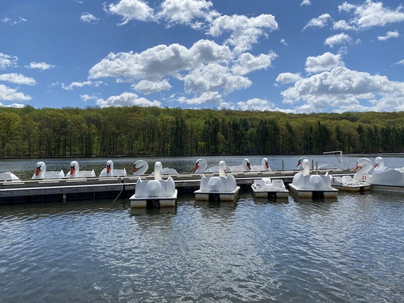 Tickets (2 persons/4 persons) for the paddle boats can be purchased at the Boats Hut. Orange Township residents (with ID) may receive a discount.