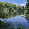 One of the many ponds contained within Huntington Park, ruminating upon them is pleasant way to finish up a hard trail run.