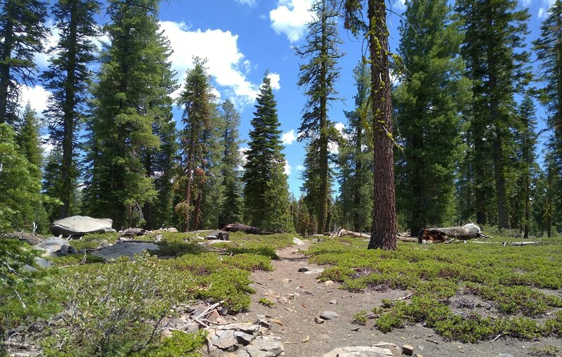 The trail to Triangle Lake heading east toward the Caribou Wilderness.