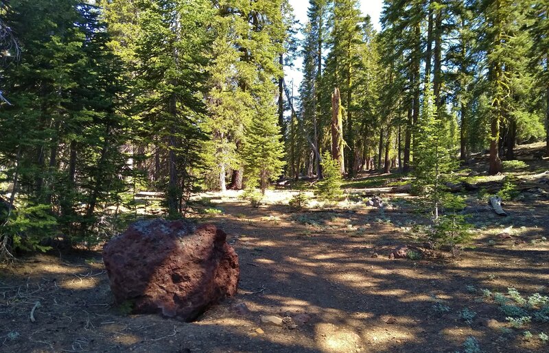 A giant red boulder along the trail at the forested Red Cinder Pass.