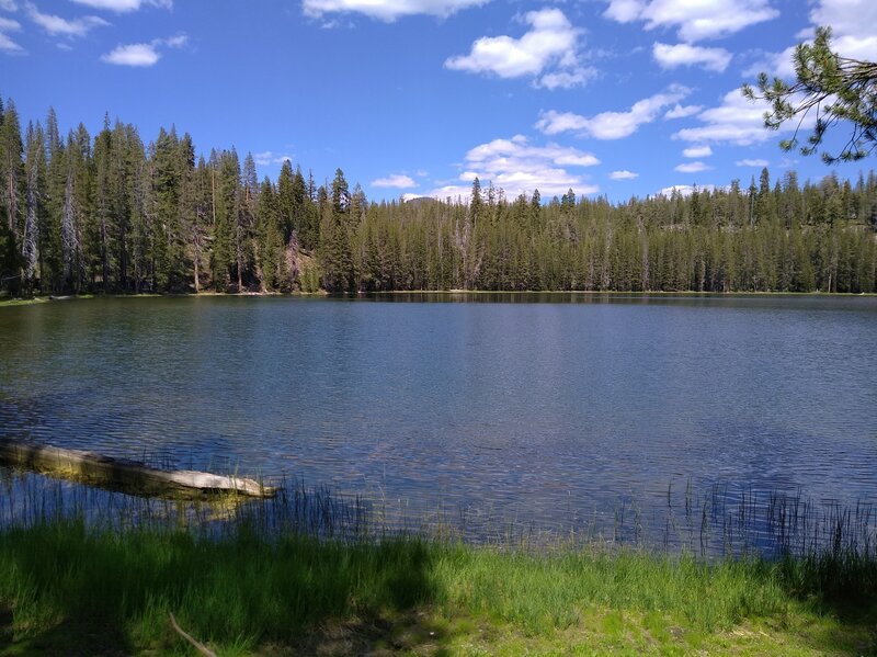 Red Cinder (center) at 8,375 ft., can be seen peeking out above the forest across Jakey Lake to the northeast.