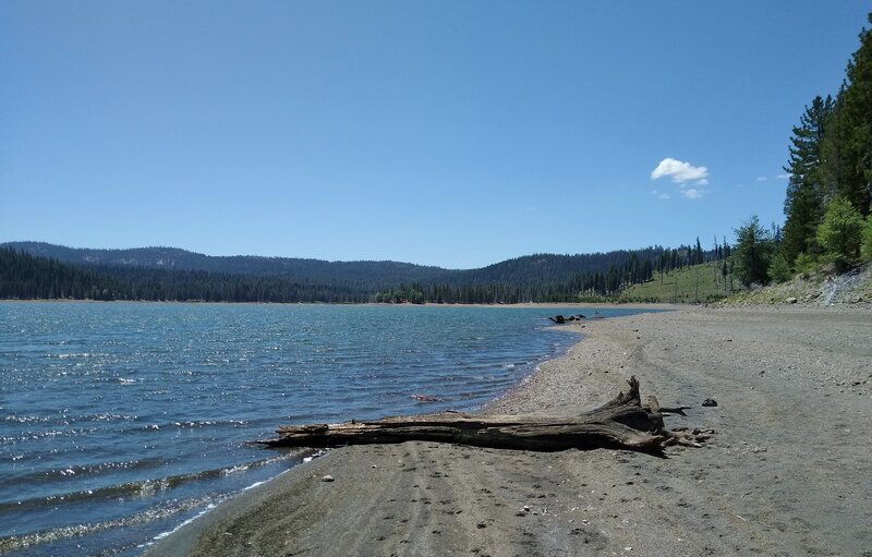 Snag Lake sparkles in the bright, midday June sun.  Looking south along the west shore of Snag Lake.