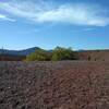 Almost at the top of Cinder Cone, its crater and forested peaks - Red Cinder and Red Cinder Cone (left) and Mt. Hoffman (center left), to the east appear.