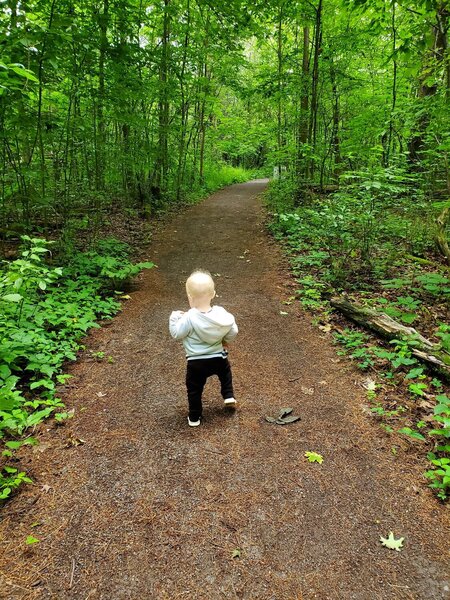 Little hiker on Trail 1