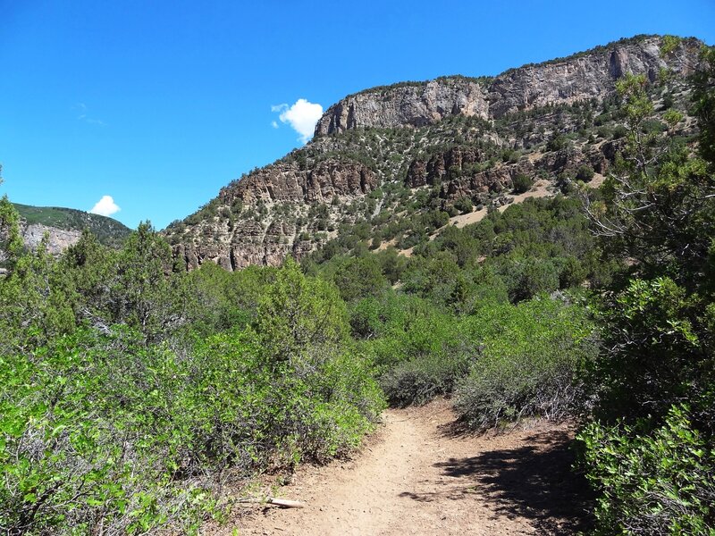 Near the beginning of the Hadley Gulch Trail showing the upper level of the Flat Tops.