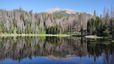 Lily Lake on a clear morning.