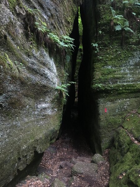 Narrow rock passage on the Red trail at Nelson's Ledges.