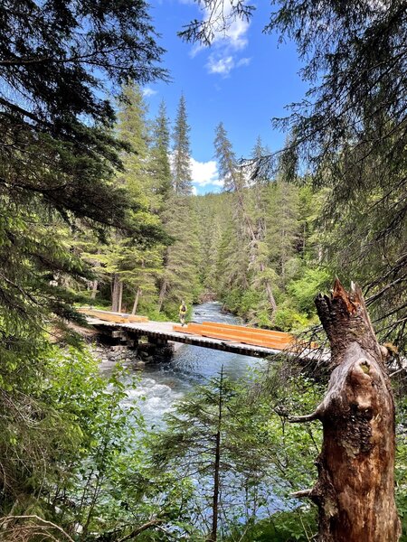 The snowcat bridge you cross at the Winner Cr. trail junction (avoid the 1st part of A1 Ridge like the plague! Take Winner Cr. trail to A1 and split off here).