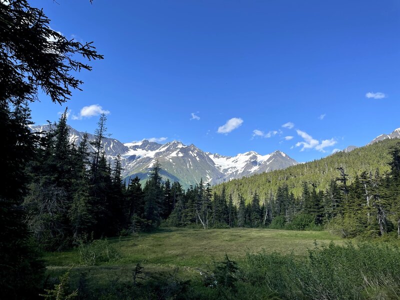 Only a handful of meadows without brush. Enjoy the respite.