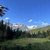 Only a handful of meadows without brush. Enjoy the respite.