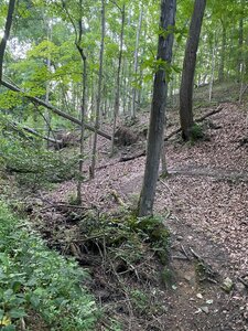 Rocket Trail at Barboursville City Park