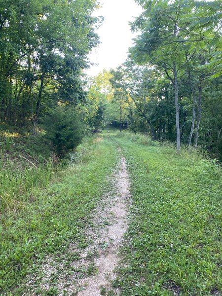 Upper trails at Barboursville City Park.