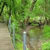 One of the boardwalk sections that runs along a creek.