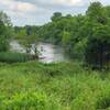 One of the wetland areas at the Heard.