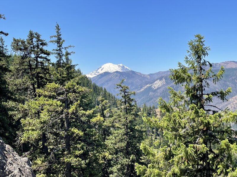 Mt Rainier the Goat Peak Trail.