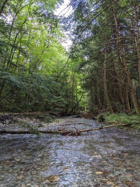 Crossing Hemlock Brook