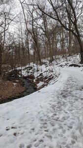 Showing the descent from the northern terminus down beside the creek in February 2021.