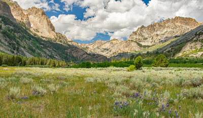 The last of the meadows. At 6.5 miles, the trail enters "The Roughs", the narrow canyon at the end of the flat area. Eagle Peak and Victoria Peak are on the left, with the Flatiron Ridge on the right.