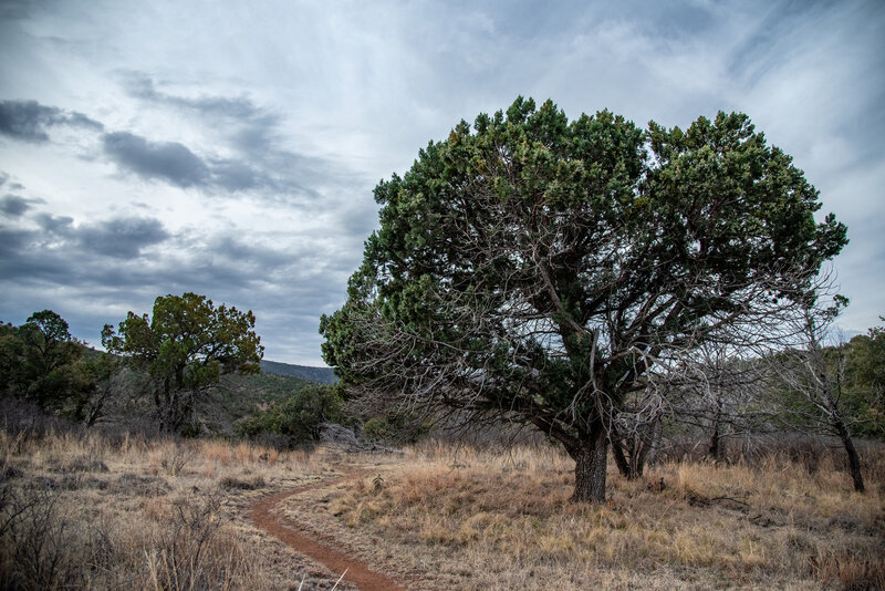 Madera Canyon Trail