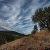 Madera Canyon Trail