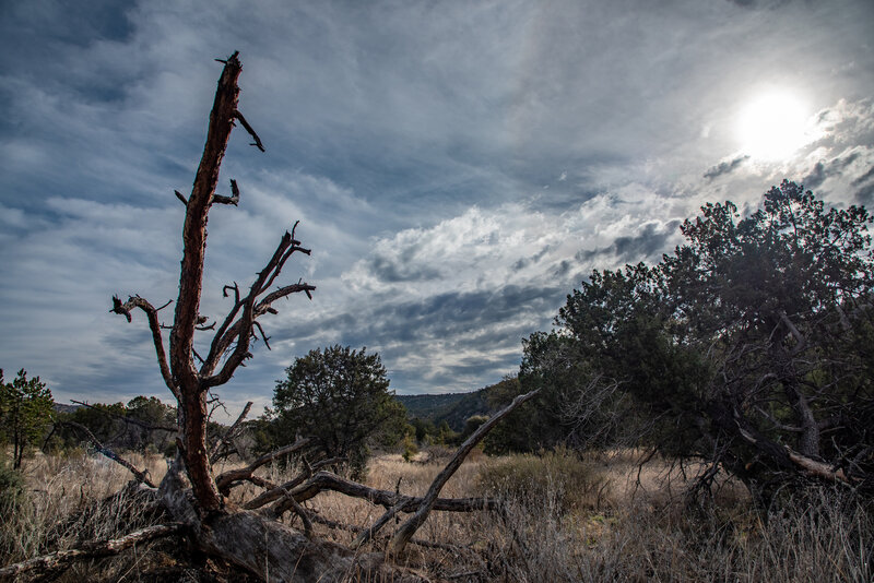 Madera Canyon Trail