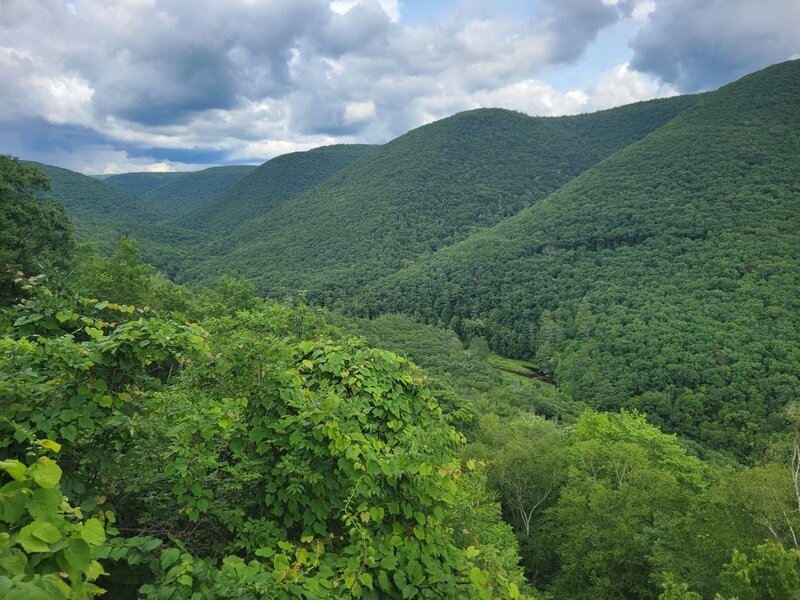 Black Forest Trail vista.