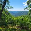 Black Forest Trail vista