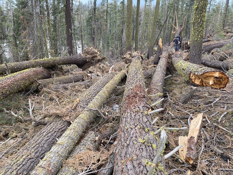 Hundreds of tree's down due to mono winds in Feb'21. Trail is nearly impassible.