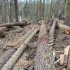 Hundreds of tree's down due to mono winds in Feb'21. Trail is nearly impassible.