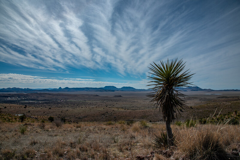 Desert View