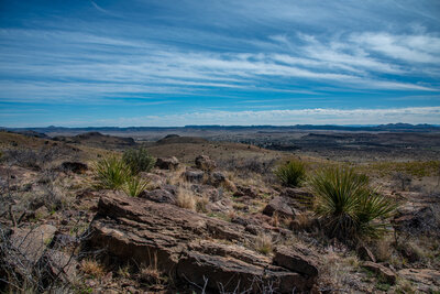 Desert View