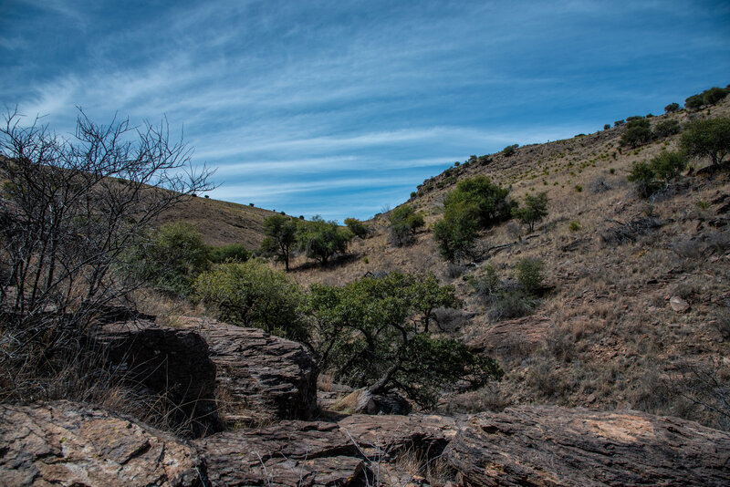 Canyon View