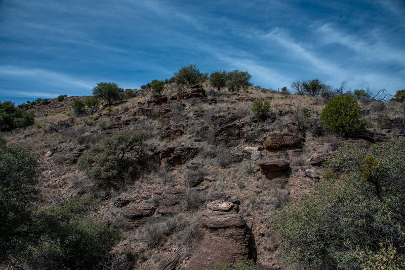 Canyon View