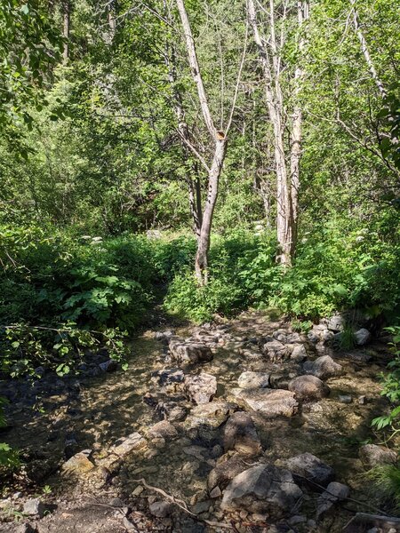 First water crossing. Most water crossings have plenty of rocks for ease of crossing.