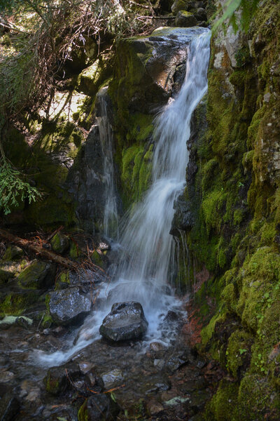 This small waterfall tumbles onto the trail. Careful footing can keep you dry.