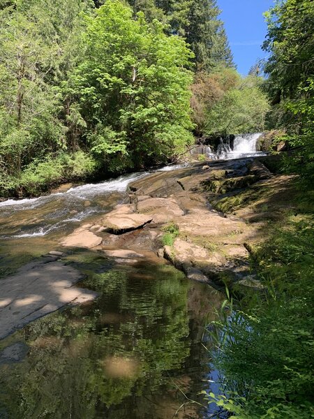 Alsea Falls in June.