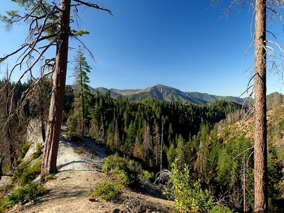 Along the narrow ridge of white rock.