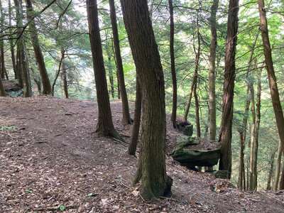 Impressive cliffs. I intend to go back for a fall photo.