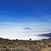 This is the kilimanjaro hiking using the lemosho  route; widely considered as the best route on the mountain, its beautiful terrain and scenery is just jaw dropping.