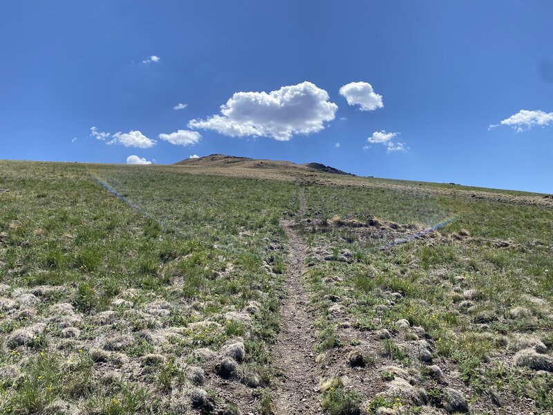 Trail to Delano Peak.