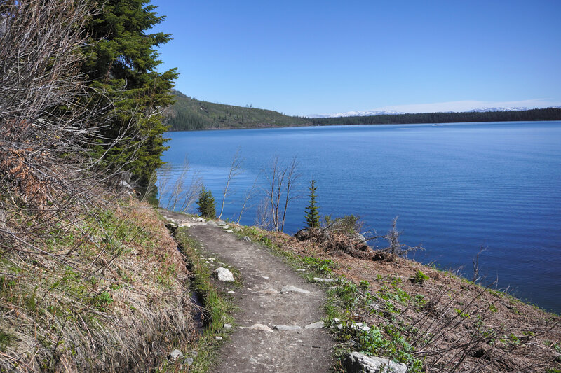 Jenny Lake